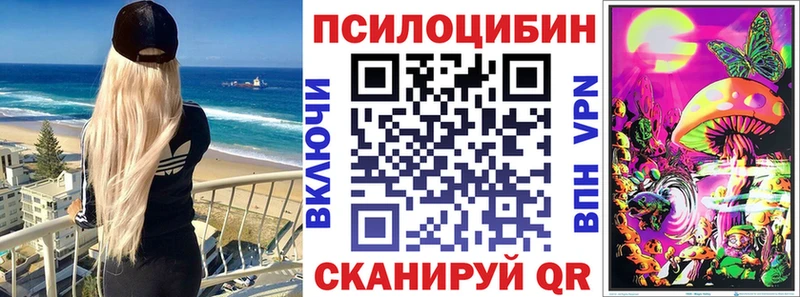 Купить  Озёры  Галлюциногенные грибы GOLDEN TEACHER 